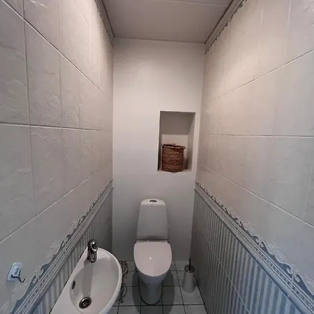 Lovely 3- In Historical House - Vabriku 3 Apartmán Tartu